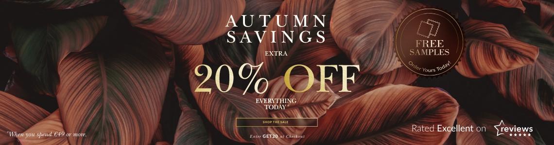 BDIE Autumn Savings PPC