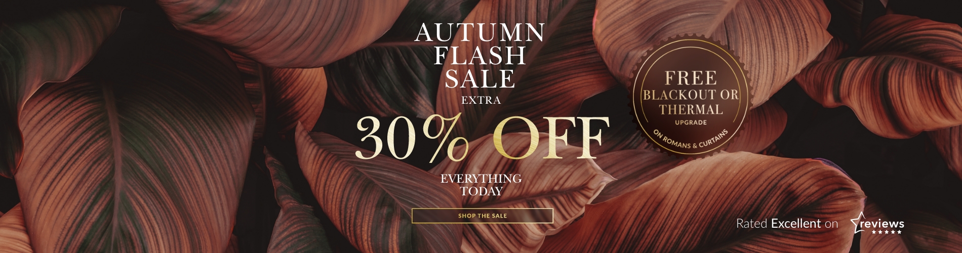 BDIE 30% Autumn Flash