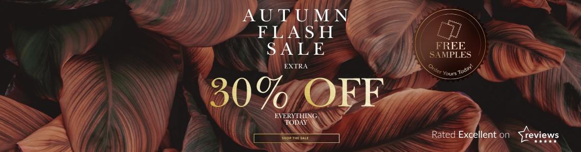 BDIE 30% Autumn Flash PPC